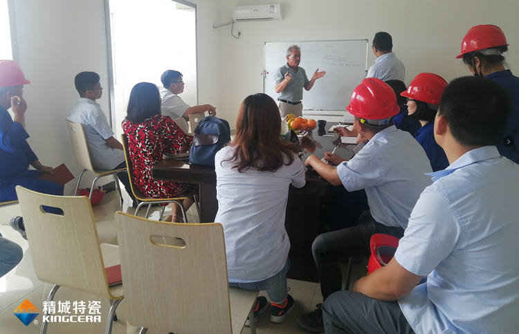 湖南头号玩家官网特邀意大利专家进行质量治理培训