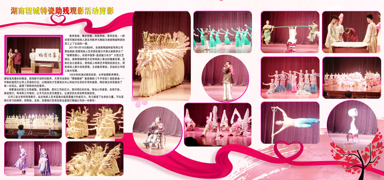 湖南头号玩家官网赞助燕赵·恒爱残疾人艺术团圆满演出