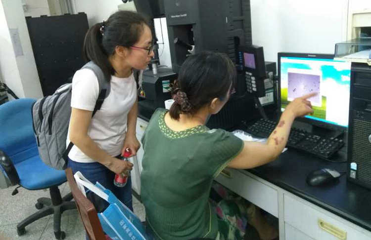 头等玩家官网-不凡成就非凡,相信品牌力量